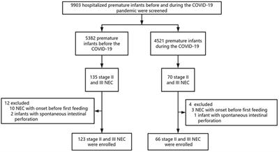 Unexpected decrease in necrotizing enterocolitis morbidity during the COVID-19 pandemic-A single-centre retrospective study